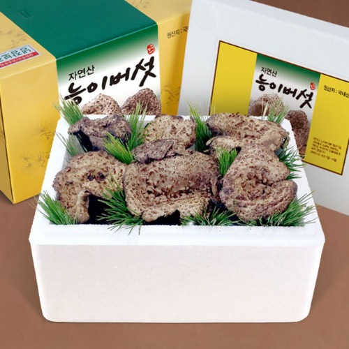 [참자연] 자연산 능이버섯(냉동) 1kg